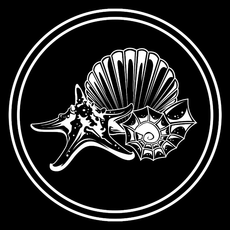 Icône étoile de mer Icône