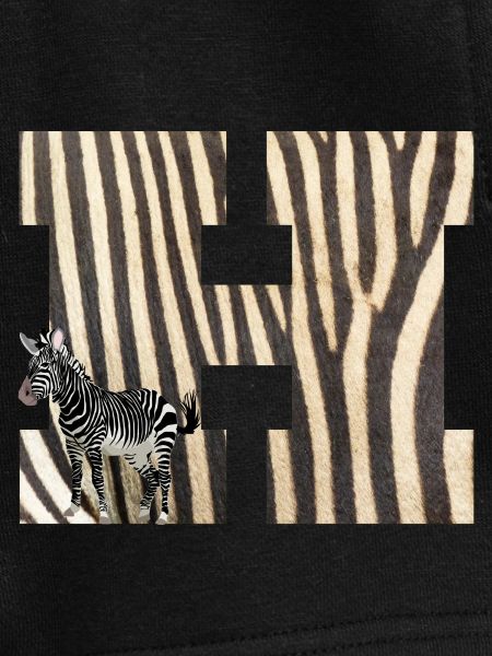 zebra h