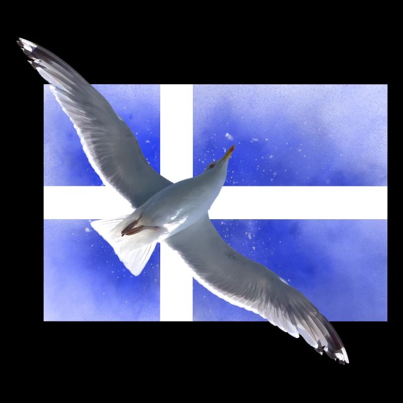 Finlande Mouette Suomi
