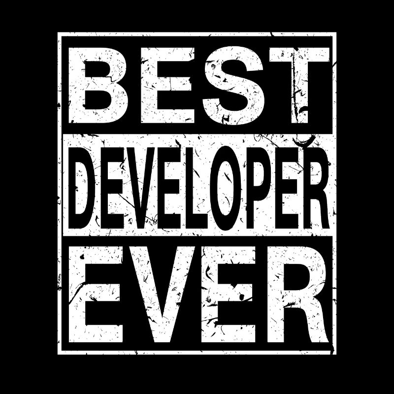 Best Developer Ever Developer Gift