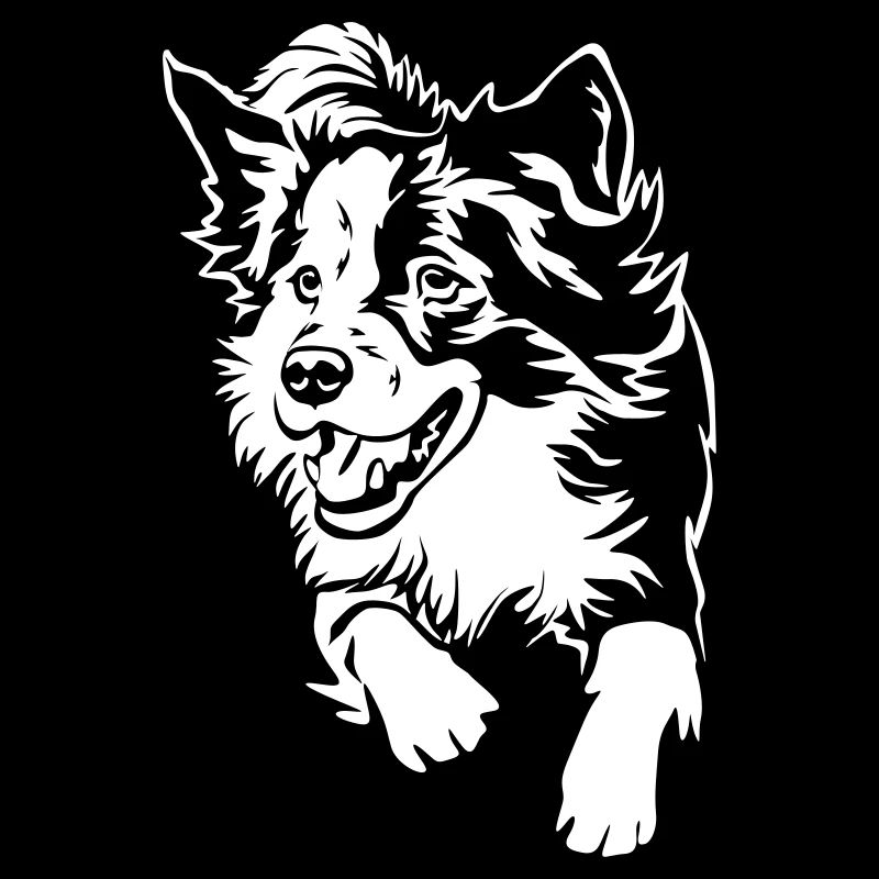 Border Collie "Black Edition