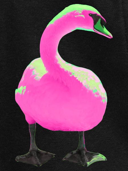 Cygne