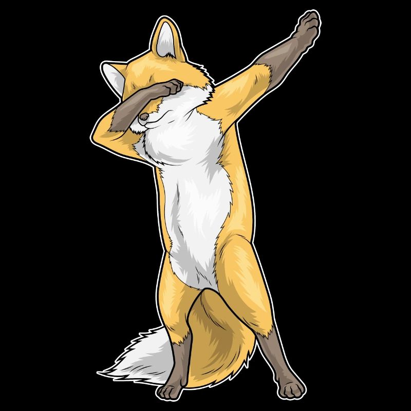 Danse Hip Hop Fox