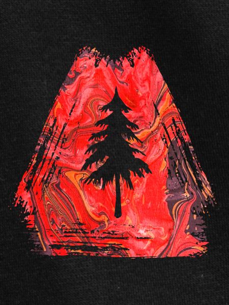 sapin e 13