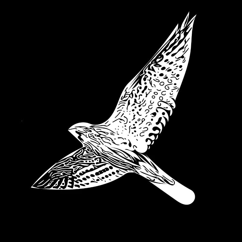 Falcon