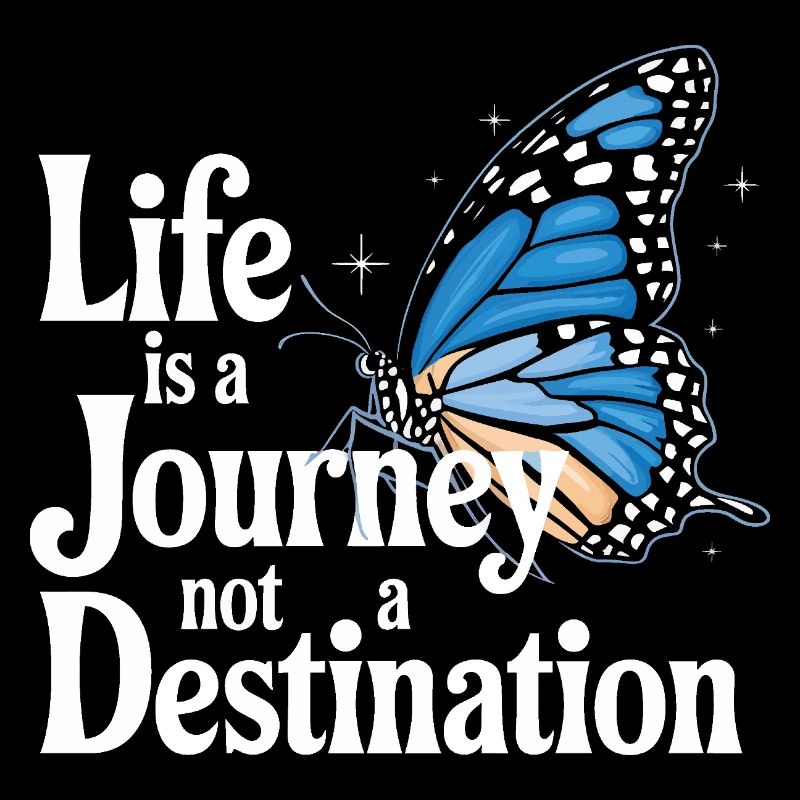 papillon monarque papillon papillons colorés