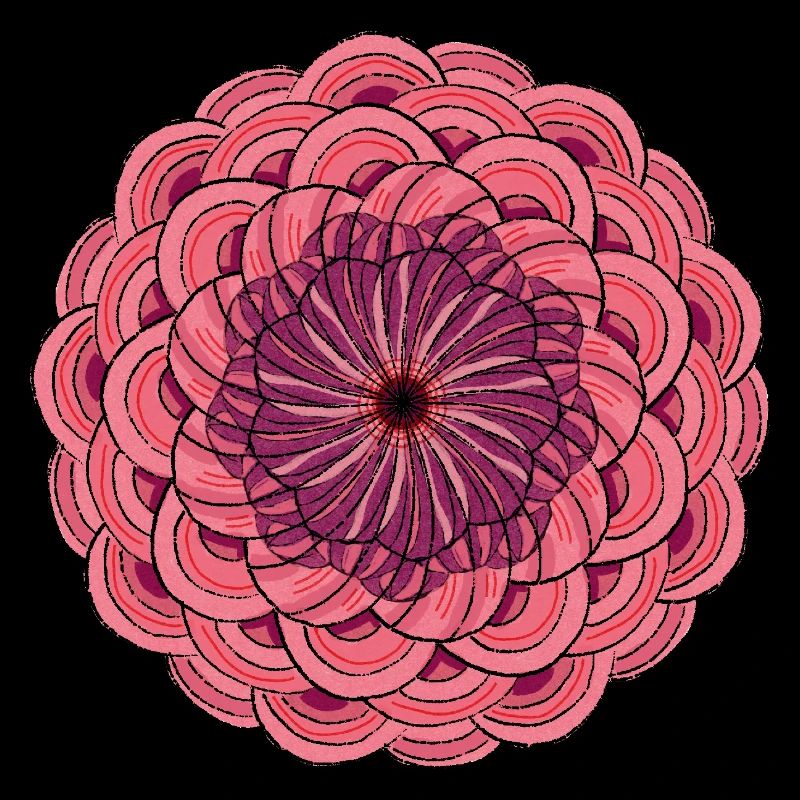 Mandala Rose
