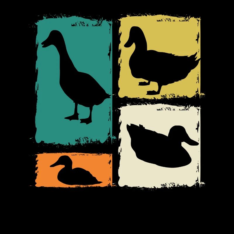 Canards