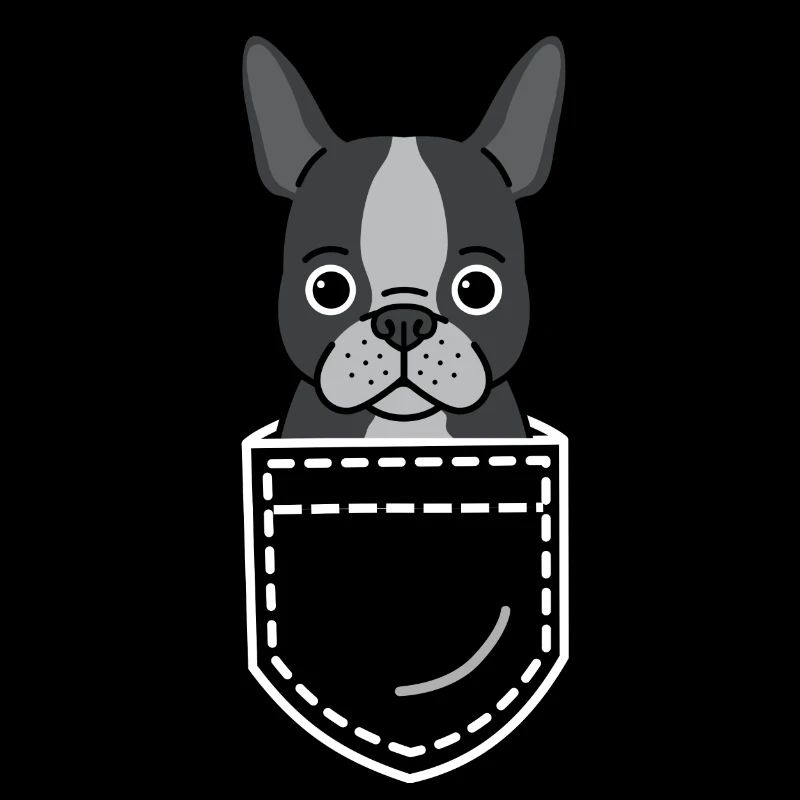 Dog Boston Terrier