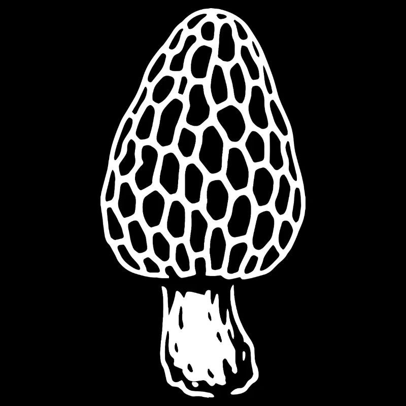 Morille - Cueilleur de champignons - Champignons - Dicton