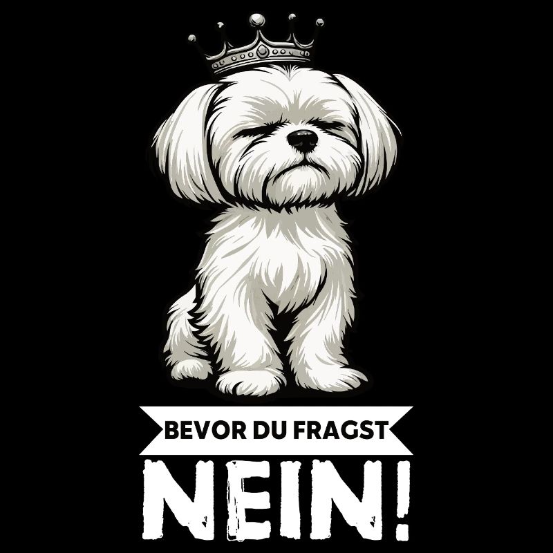 Before you ask: No Malteser Malteserbesitzer