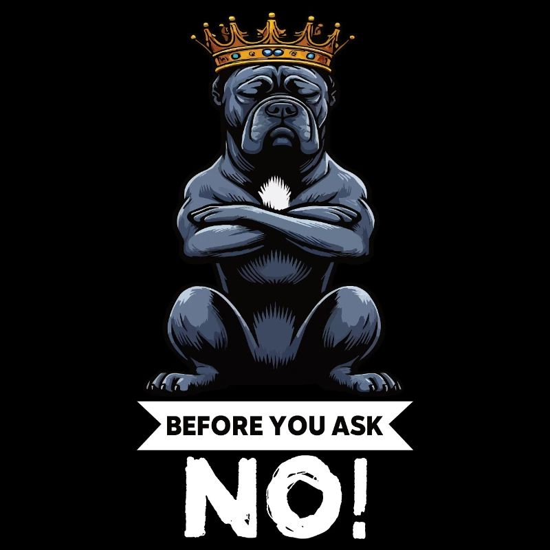 Before You Ask Cane Corso Cane Corsos Corso halter