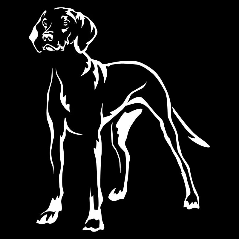 Magyar Vizsla « Édition Noire »