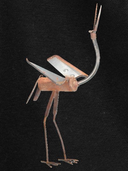 bird
