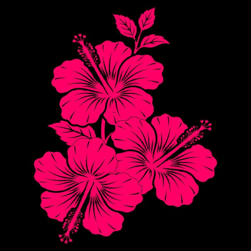 Fuchsia Pink Hibiscus Flowers