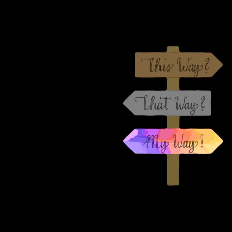 This Way That Way My Way