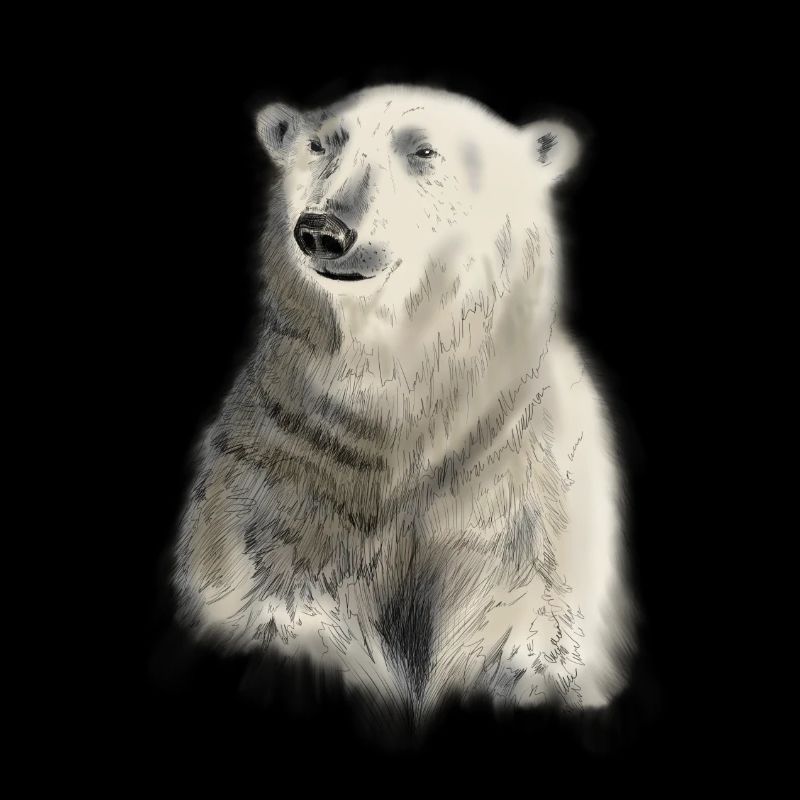 Polar Bear