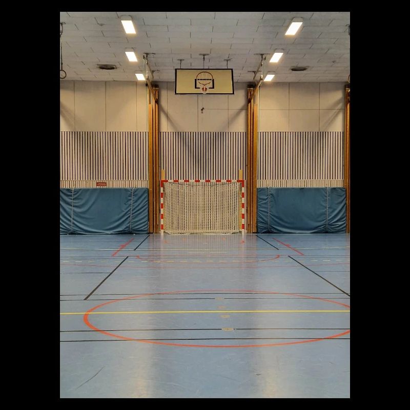 Les lignées de Gymhallen