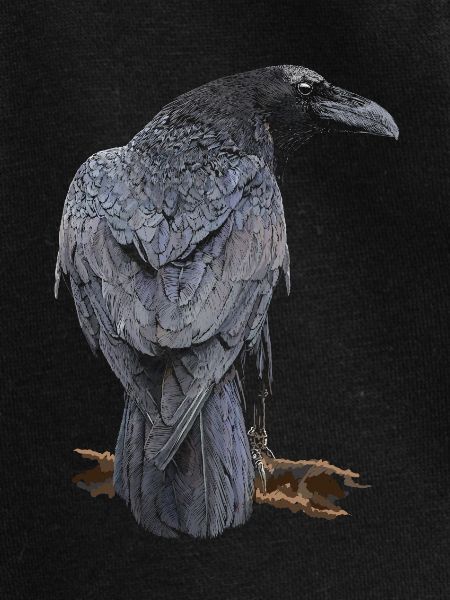 Crow