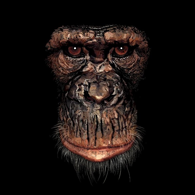 Affe
