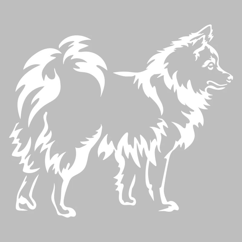 Spitz "Black Edition"