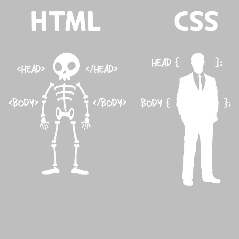 Code Css C++ Php Java Developer Code Skripting