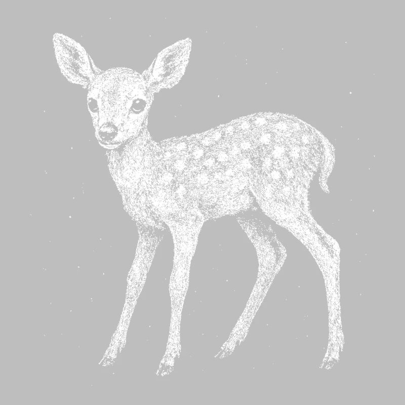 Fawn