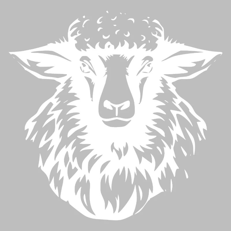 Schaf Schafsilhouette im Kontrast