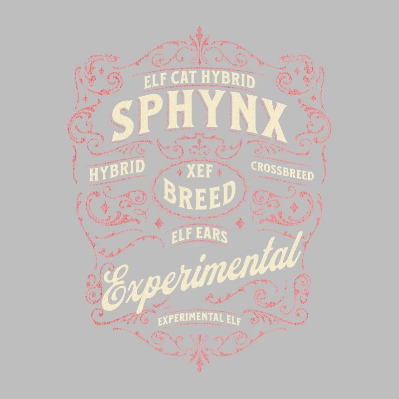 Elfe Sphynx Chat