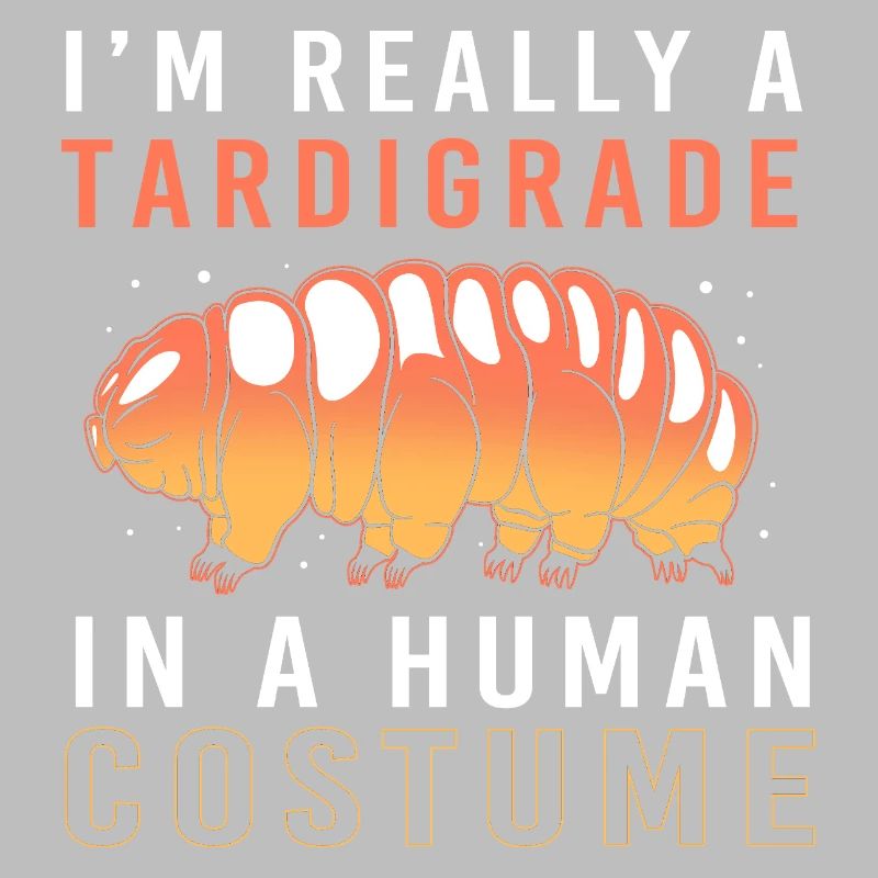 Tardigrade Tardigrade Water Bear Tardigrade