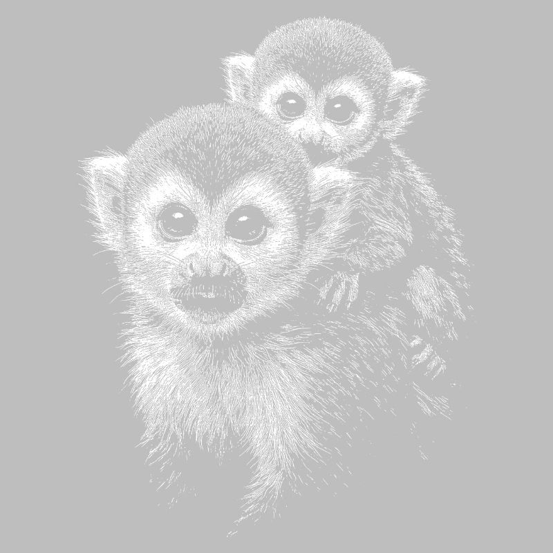 Singe écureuil