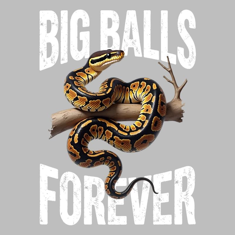 King Python Snakes Lover Terrarium Python