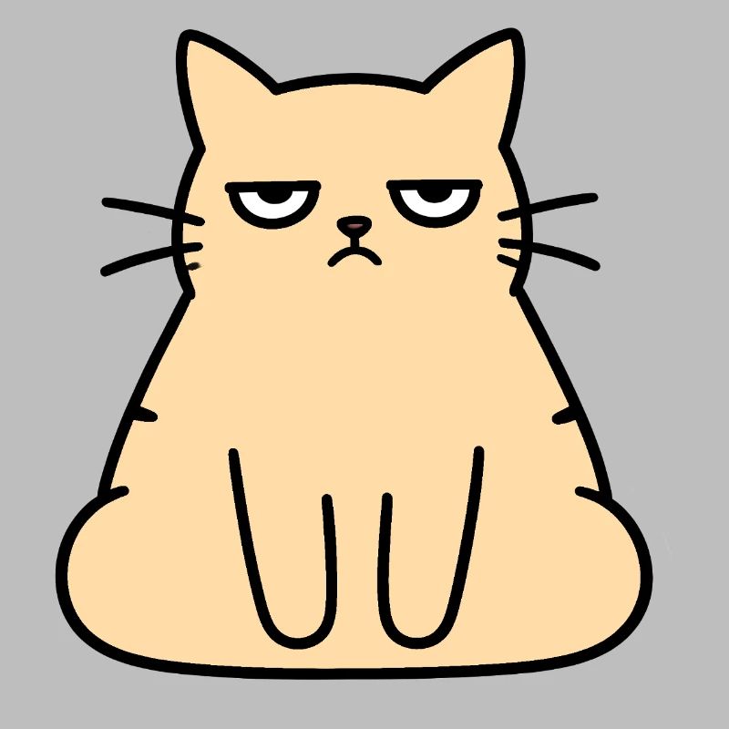 Chat du Salon Grognon