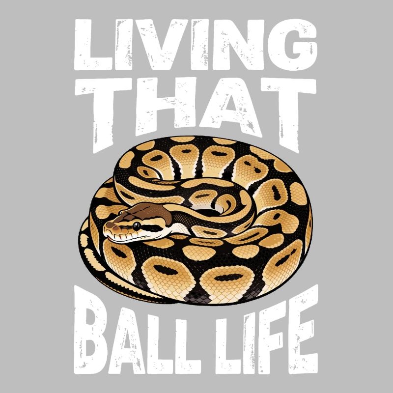 King Python Snakes Lover Terrarium Python