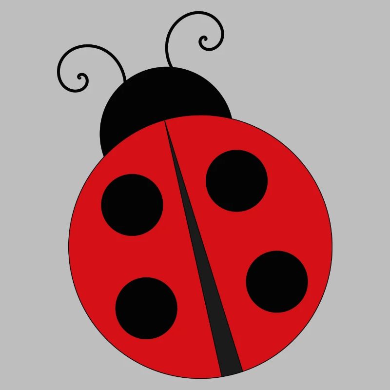 Coccinelle Ladybug