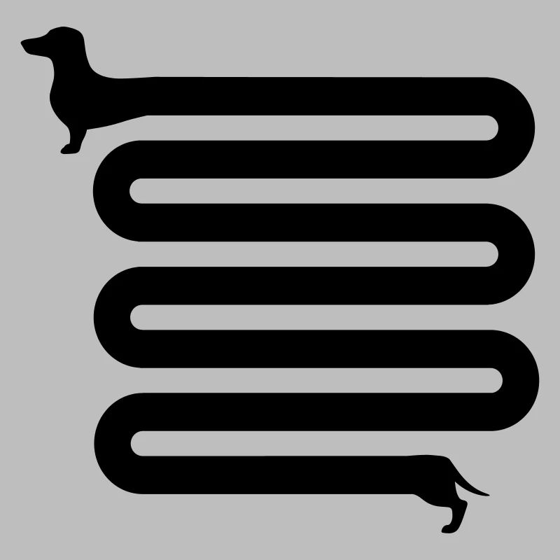 dachshund