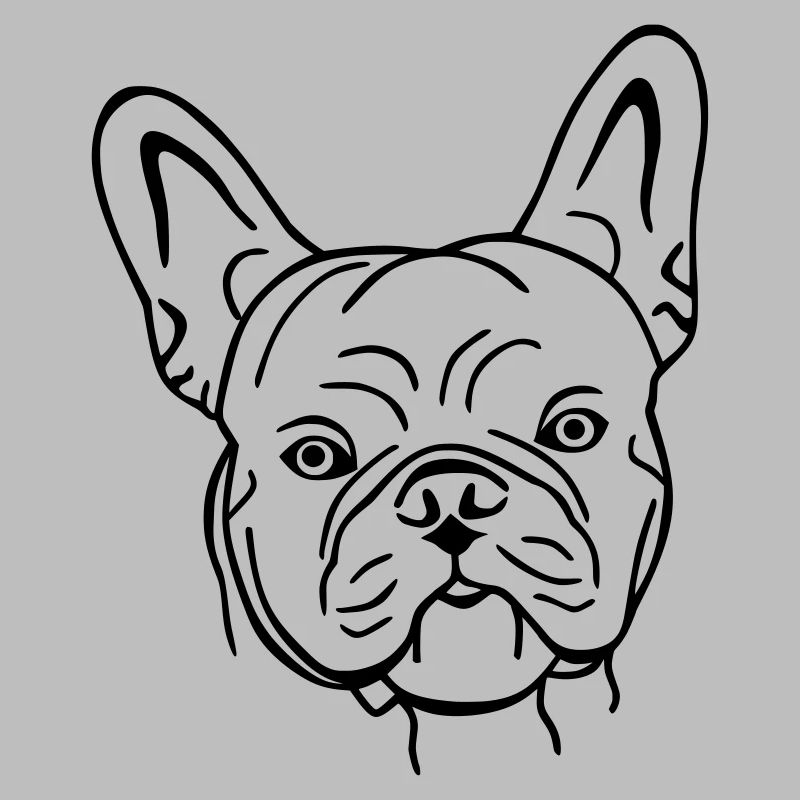 bully 1