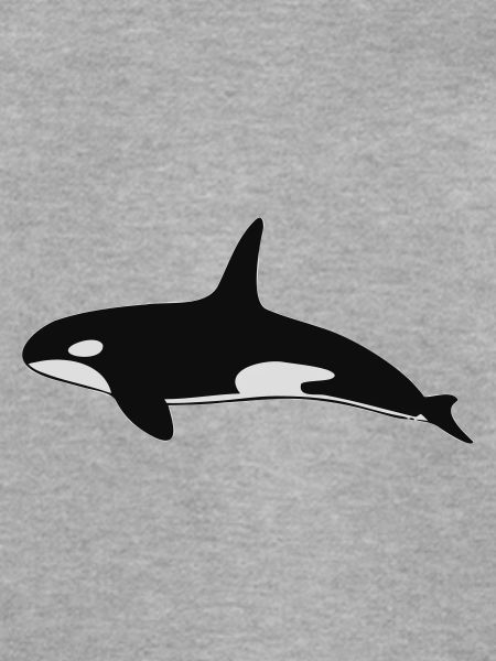Orca