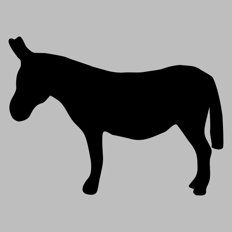 âne