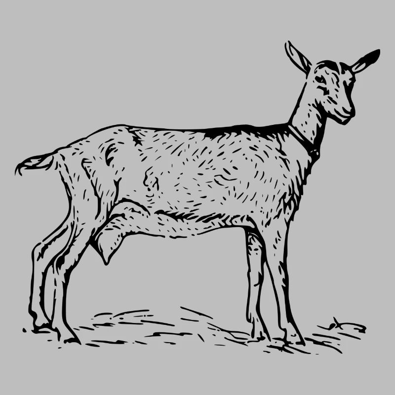 goat32