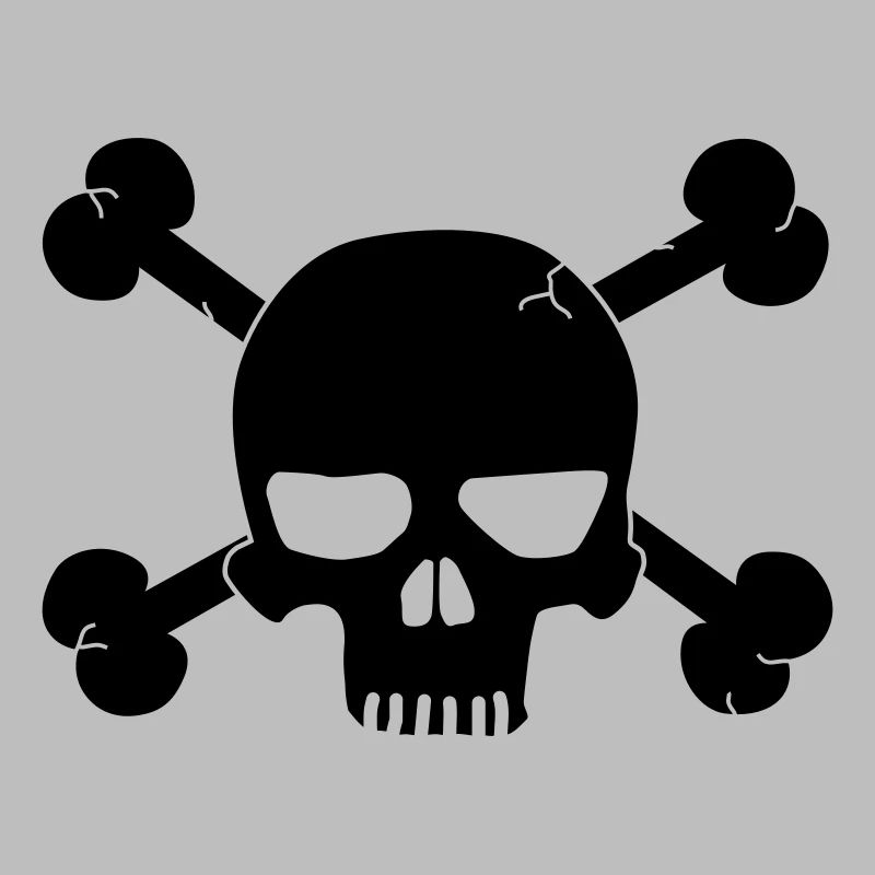 skull with bones / pirate