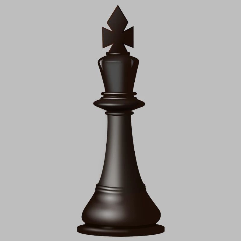 morceau roi d'échecs