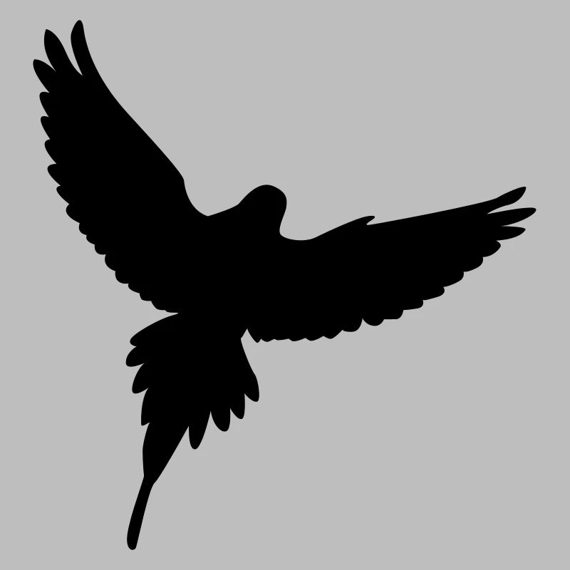 Colombe