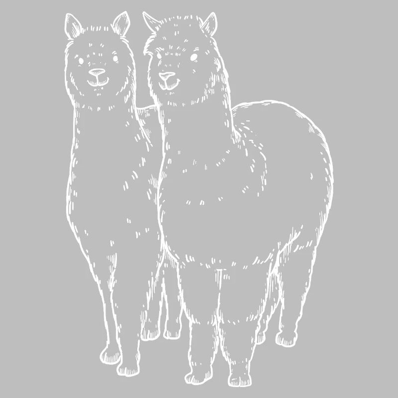 Two Alpaca Llama Lines Drawing