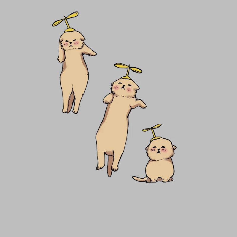 Hélicoptère Kittens