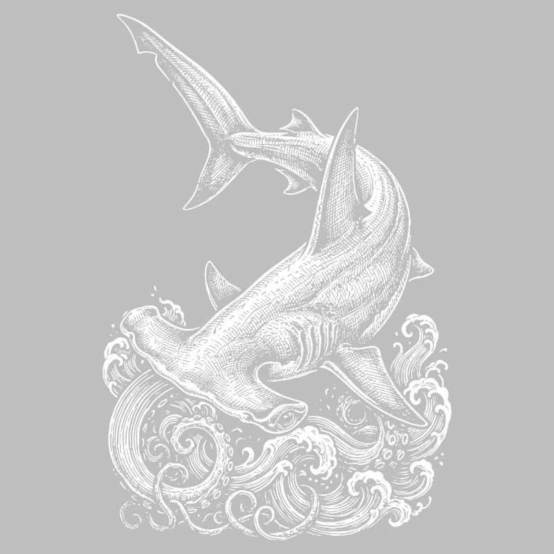 Conception du requin-marteau