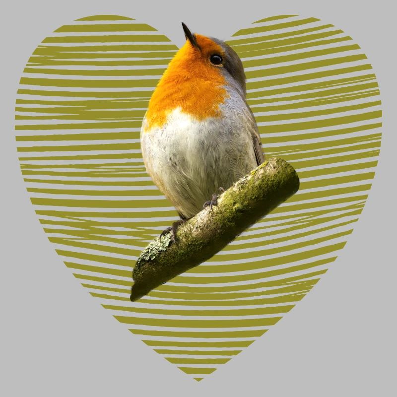 Rotkehlchen Vogel