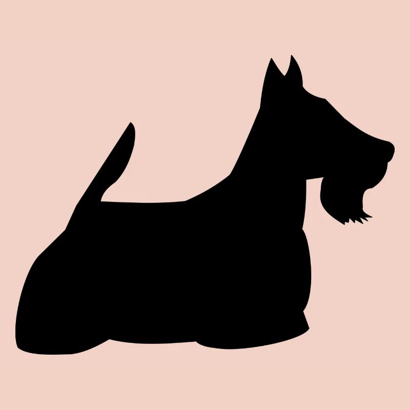 Schottischer Terrier
