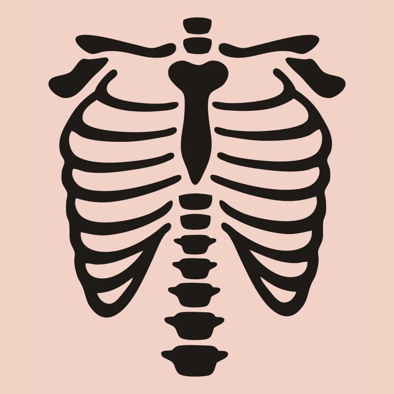 xray_vector