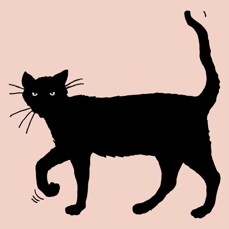 Chat noir